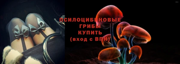 соль ск Бородино