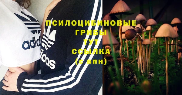 эйфоретик Бронницы