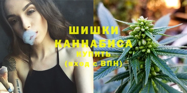 соль ск Бородино