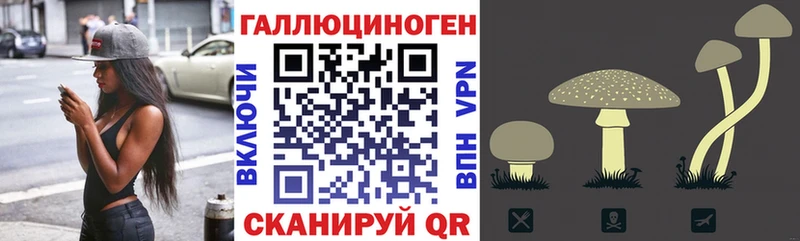 Псилоцибиновые грибы Cubensis  Кузнецк 